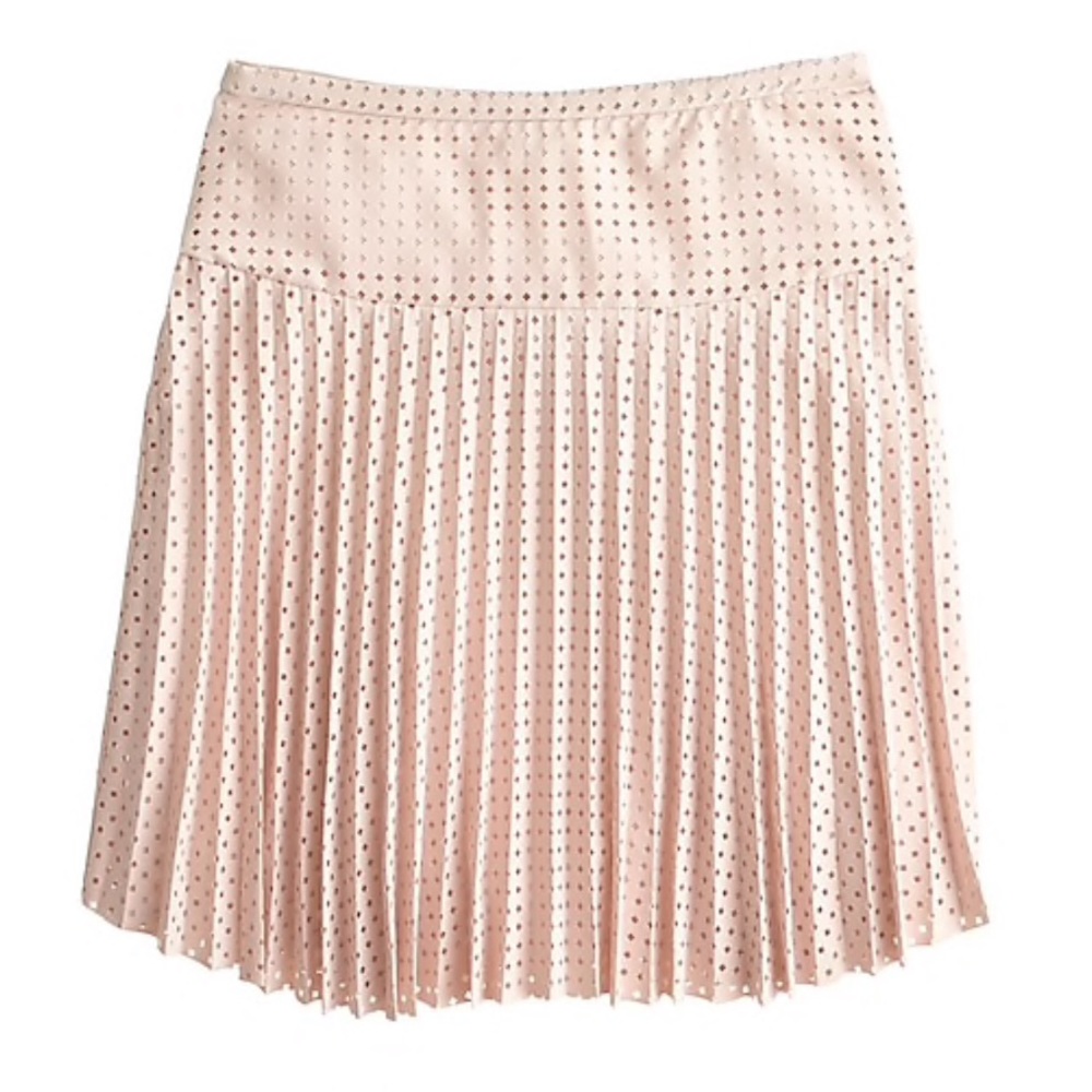 JCrew Laser Cut Skirt